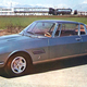Image for article titled These Are The Lovely Italian Stallion Mustangs